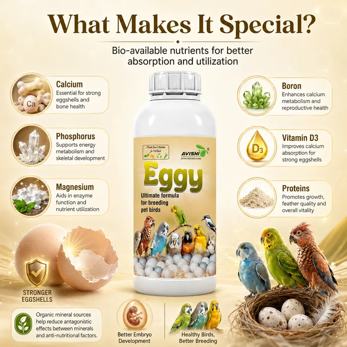 Clinical & Product Infographic (3.png)