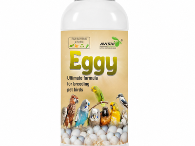 AVISHI EGGY