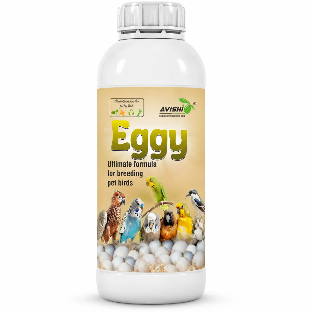 AVISHI EGGY