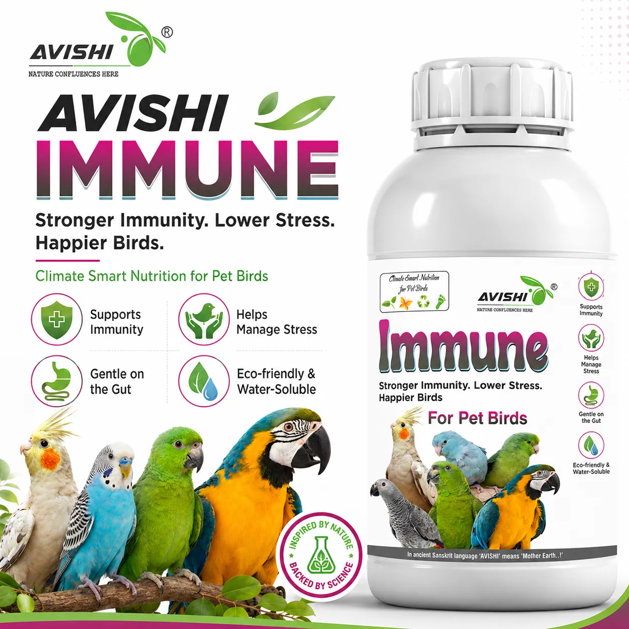 AVISHI IMMUNE